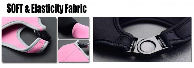 屋外の携帯用ピンクは運ぶことより涼しい袋の防水物質的な容易できます